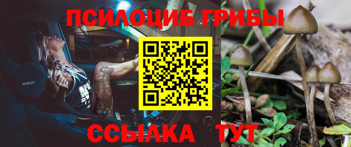 Южноуральск  Галлюциногенные грибы Psilocybine cubensis  Вход с VPN 